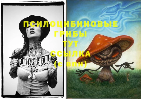 молекула духа Инта