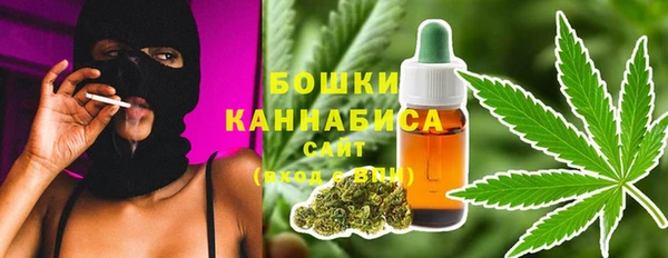 хмурый Осинники